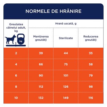 hrană uscată câini