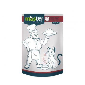 MASTER