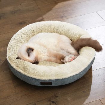 rotund