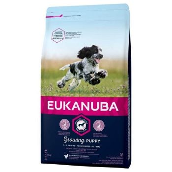 Eukanuba Puppy Mediu cu Pui